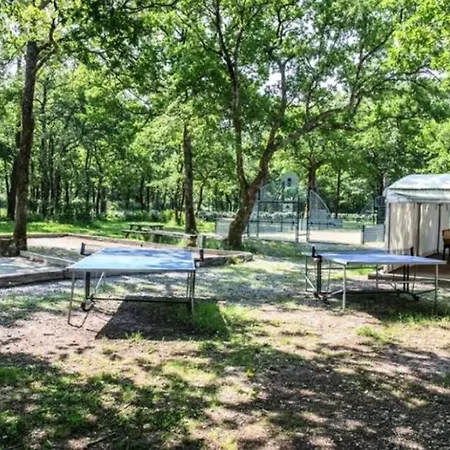 Campsite Mobil-home Confortable Avec Terrasse A - Api-1-52-286