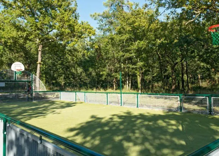 Mobil-home Confortable Avec Terrasse A - Api-1-52-286 * Royan