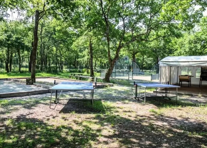 Campsite Mobil-home Confortable Avec Terrasse A - Api-1-52-286